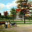 University of Chicago in 1905 vintage print