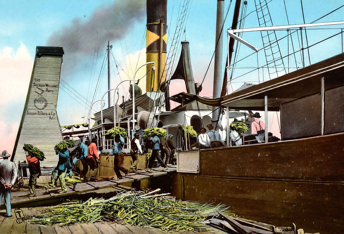 Unloading Bananas Mobile Alabama in 1905 Vintage Print (7 Sizes) - Acid Free