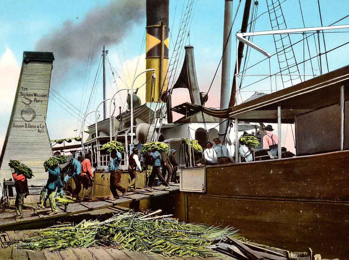 Unloading Bananas Mobile Alabama in 1905 Vintage Print (7 Sizes) - Acid Free