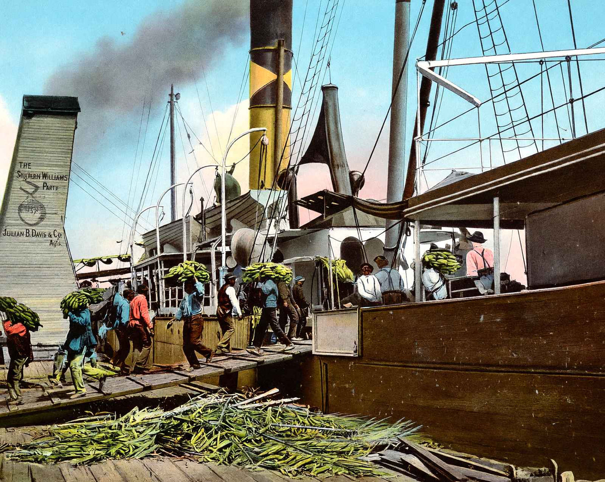 Unloading Bananas in Mobile in 1905 vintage print