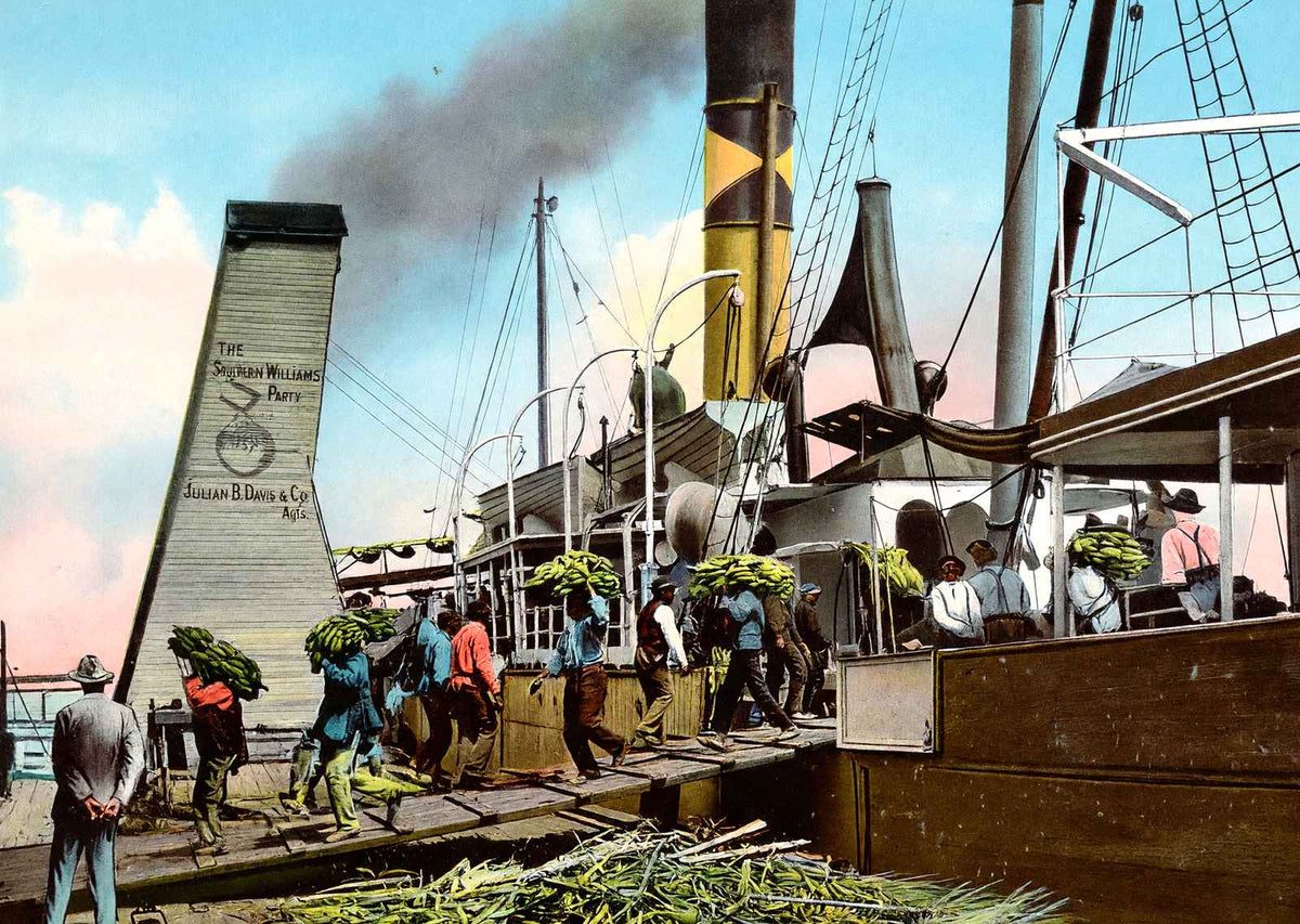 Unloading Bananas Mobile Alabama in 1905 Vintage Print (7 Sizes) - Acid Free