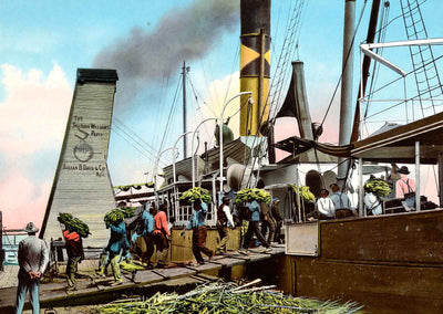 Unloading Bananas Mobile Alabama in 1905 Vintage Print (7 Sizes) - Acid Free