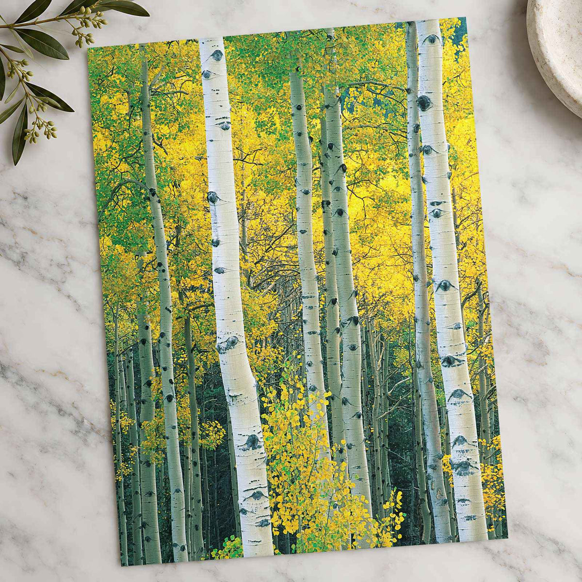 White Trees with Yellow Foliage Photographic Art Print (7 Sizes) - Satin Luster