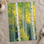 White Trees with Yellow Foliage Photographic Art Print (7 Sizes) - Satin Luster