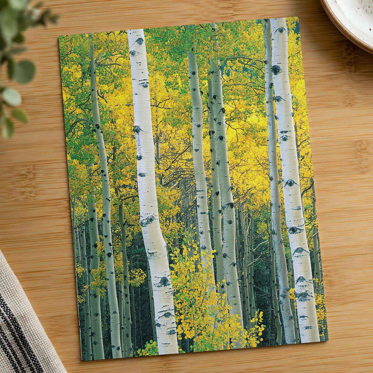 White Trees with Yellow Foliage Photographic Art Print (7 Sizes) - Satin Luster