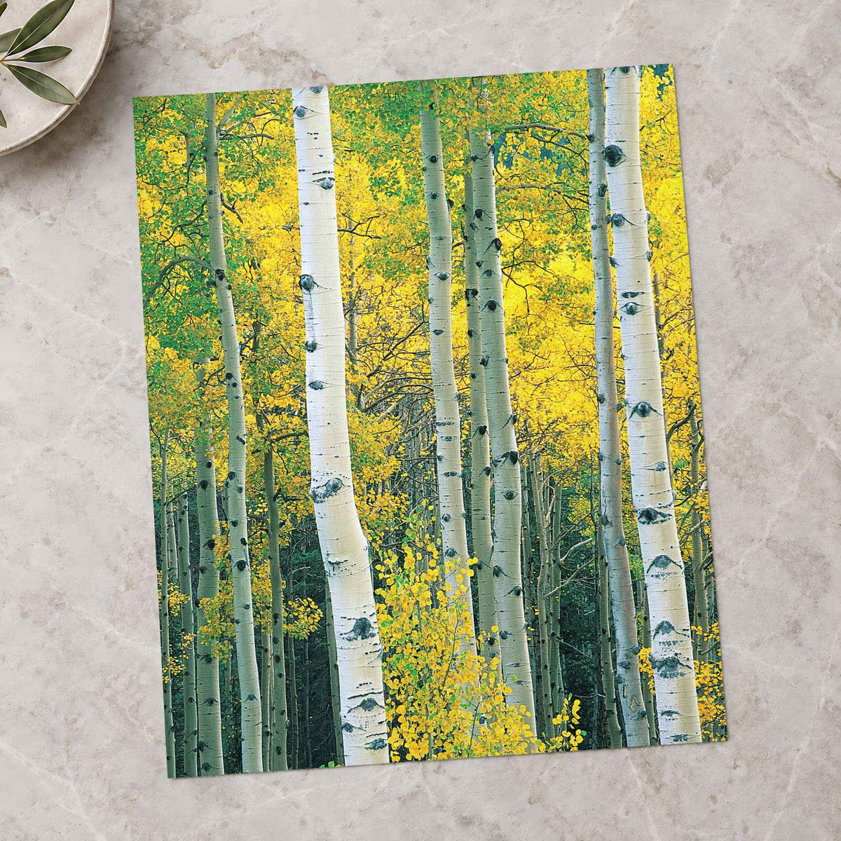 White Trees with Yellow Foliage Photographic Art Print (7 Sizes) - Satin Luster