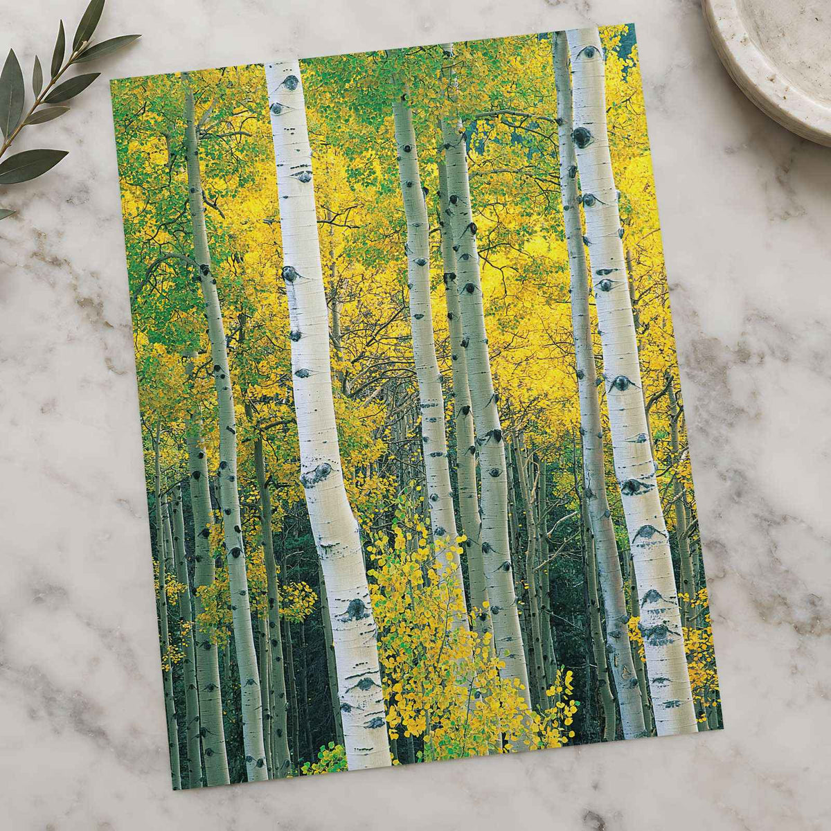 White Trees with Yellow Foliage Photographic Art Print (7 Sizes) - Satin Luster