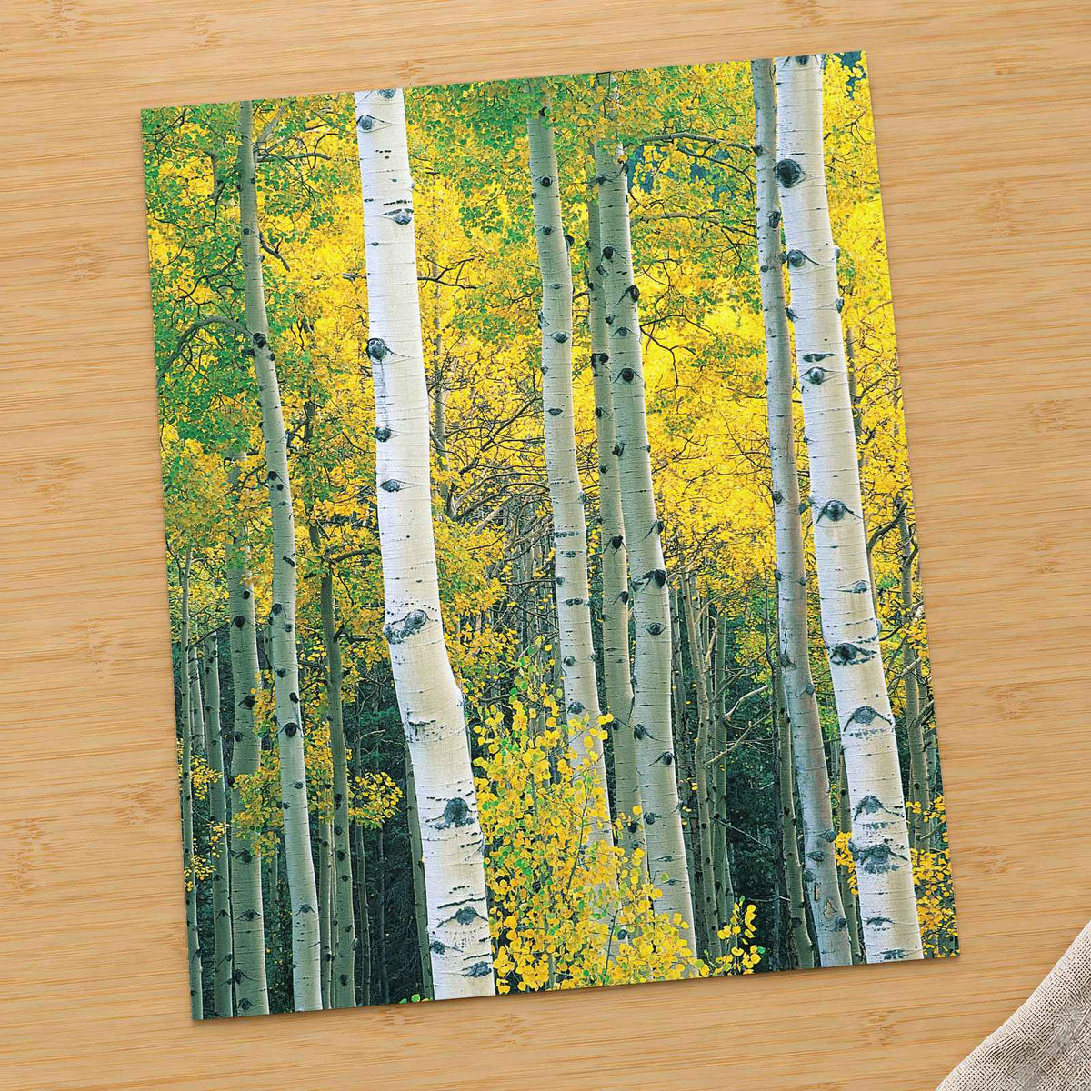 White Trees with Yellow Foliage Photo Print Wall Decor