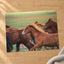 Herd of Brown Horses Running Across a Field Photo Wall Art (7 Sizes) - Frameable