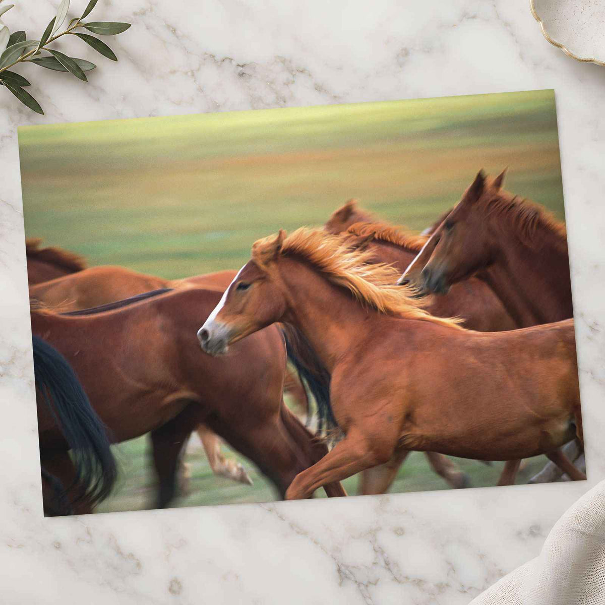 Herd of Brown Horses Running Across a Field Photo Wall Art (7 Sizes) - Frameable