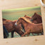 Herd of Brown Horses Running Across a Field Photo Wall Art (7 Sizes) - Frameable
