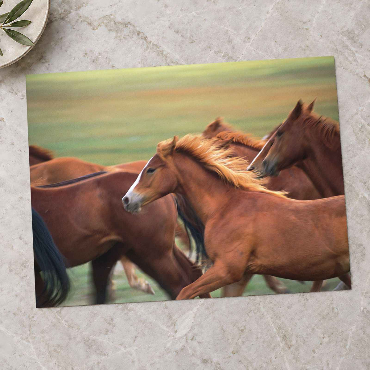 Herd of Brown Horses Running Across a Field Photo Print Wall Decor
