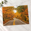 Road with Fall Foliage Photography Print (7 Sizes) - High Quality