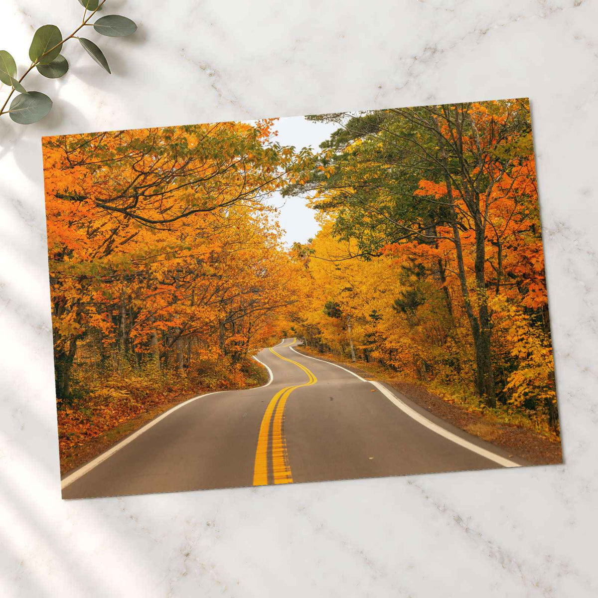 Road with Fall Foliage Photography Print (7 Sizes) - High Quality
