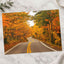 Road with Fall Foliage Photography Print (7 Sizes) - High Quality