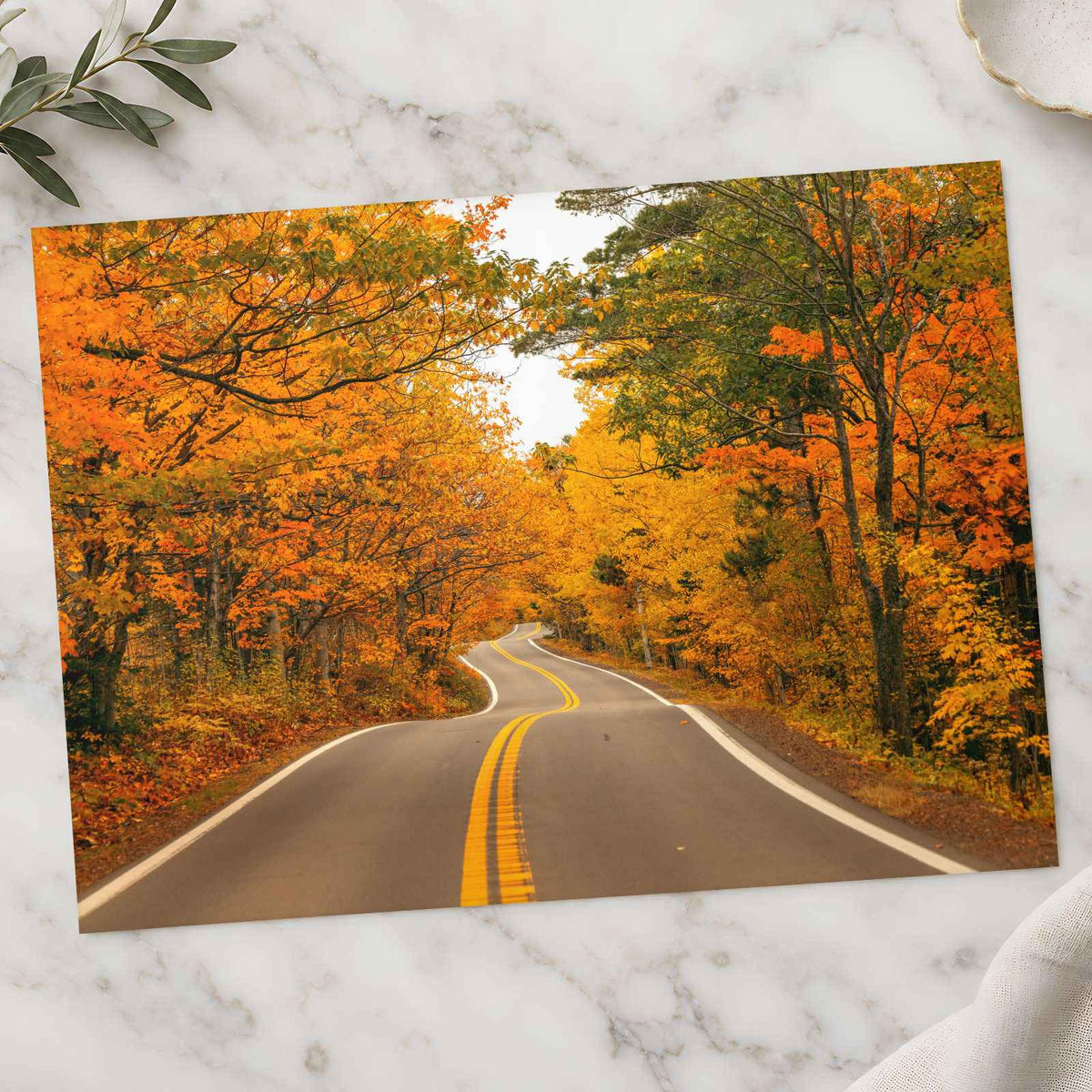 Road with Fall Foliage Photography Print (7 Sizes) - High Quality