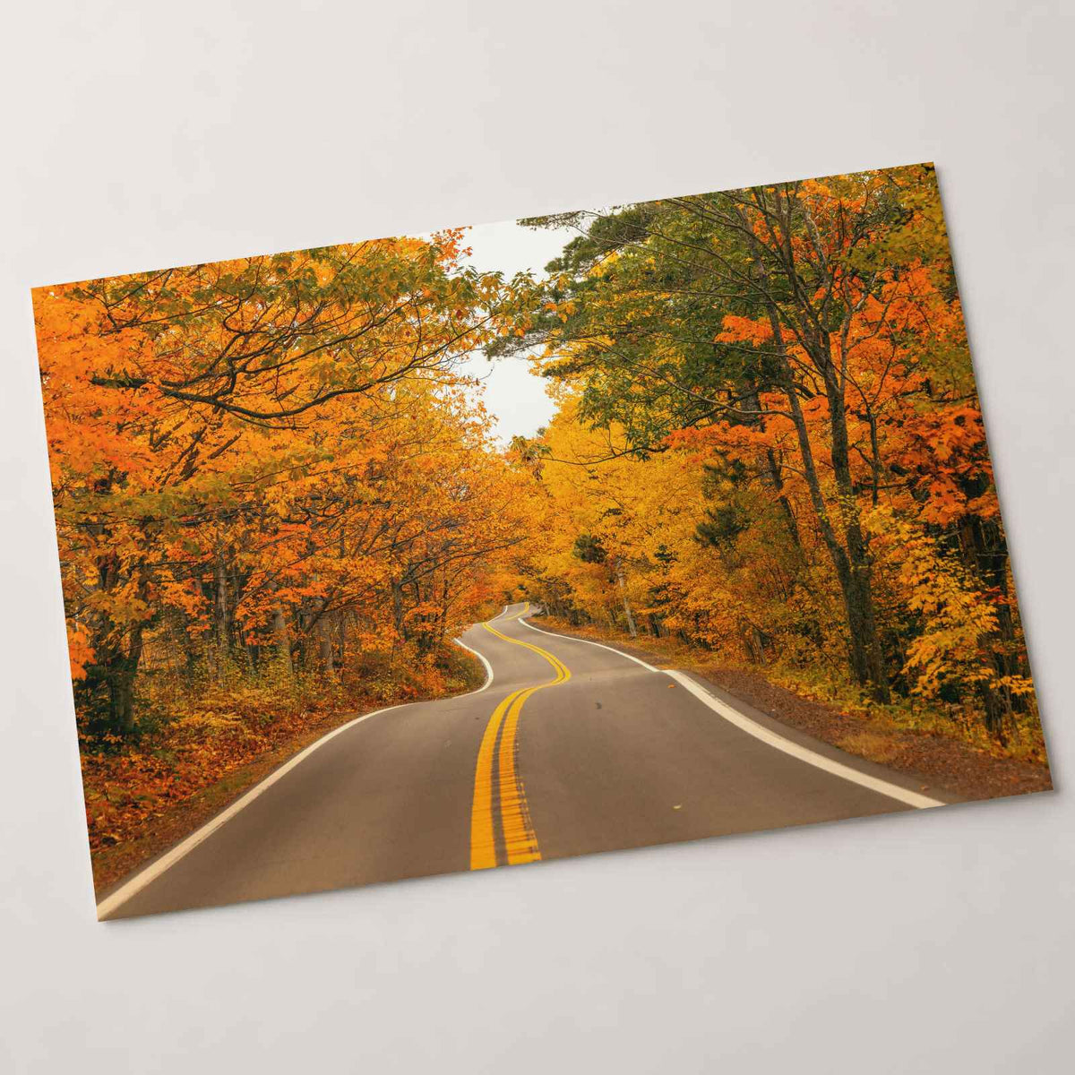 Road with Fall Foliage Photography Print (7 Sizes) - High Quality