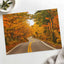 Road with Fall Foliage Photography Print (7 Sizes) - High Quality