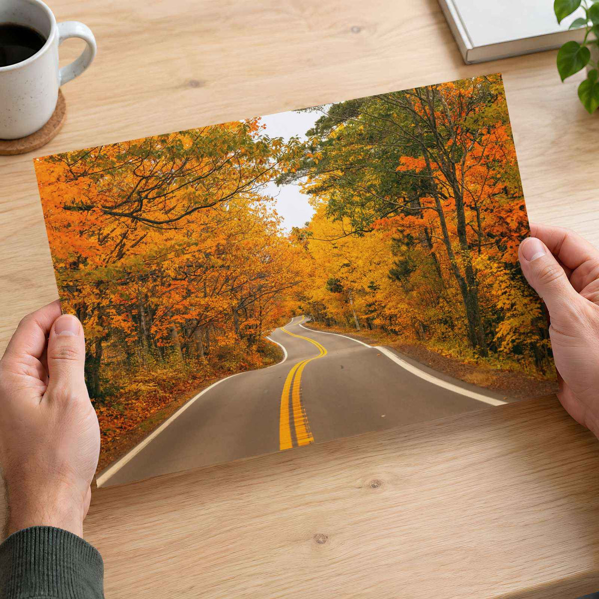 Road with Fall Foliage Photography Print (7 Sizes) - High Quality