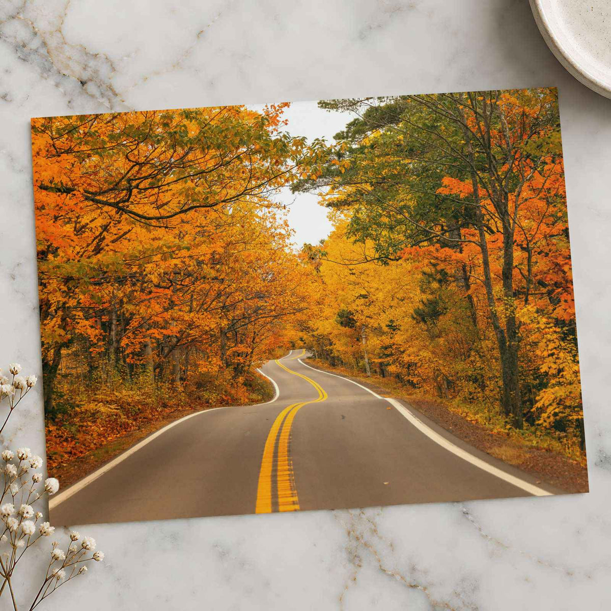 Road with Fall Foliage by Hans Photo Print Wall Decor