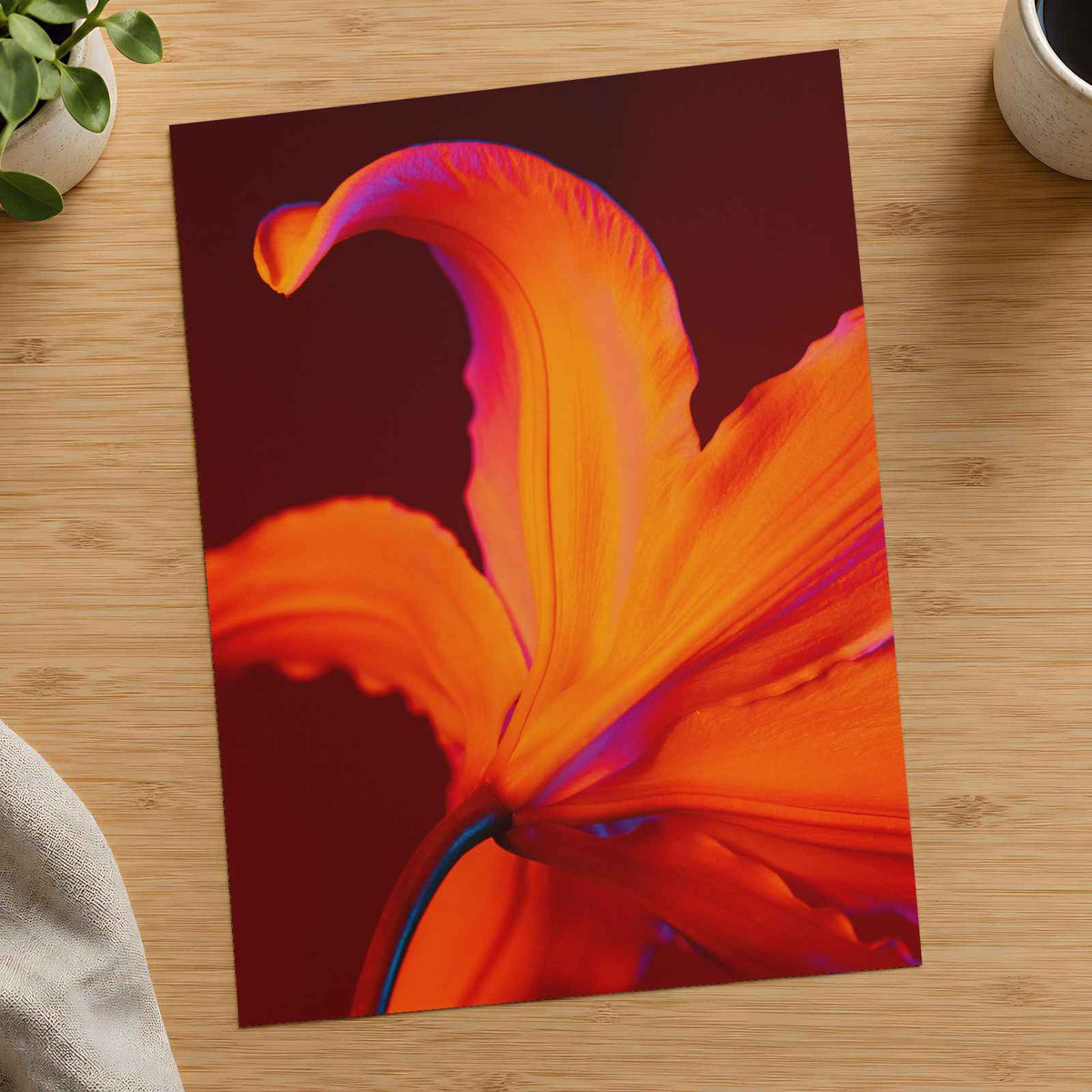 Close Up of Bright Orange Flower Photography Print (7 Sizes) - Ready to Frame