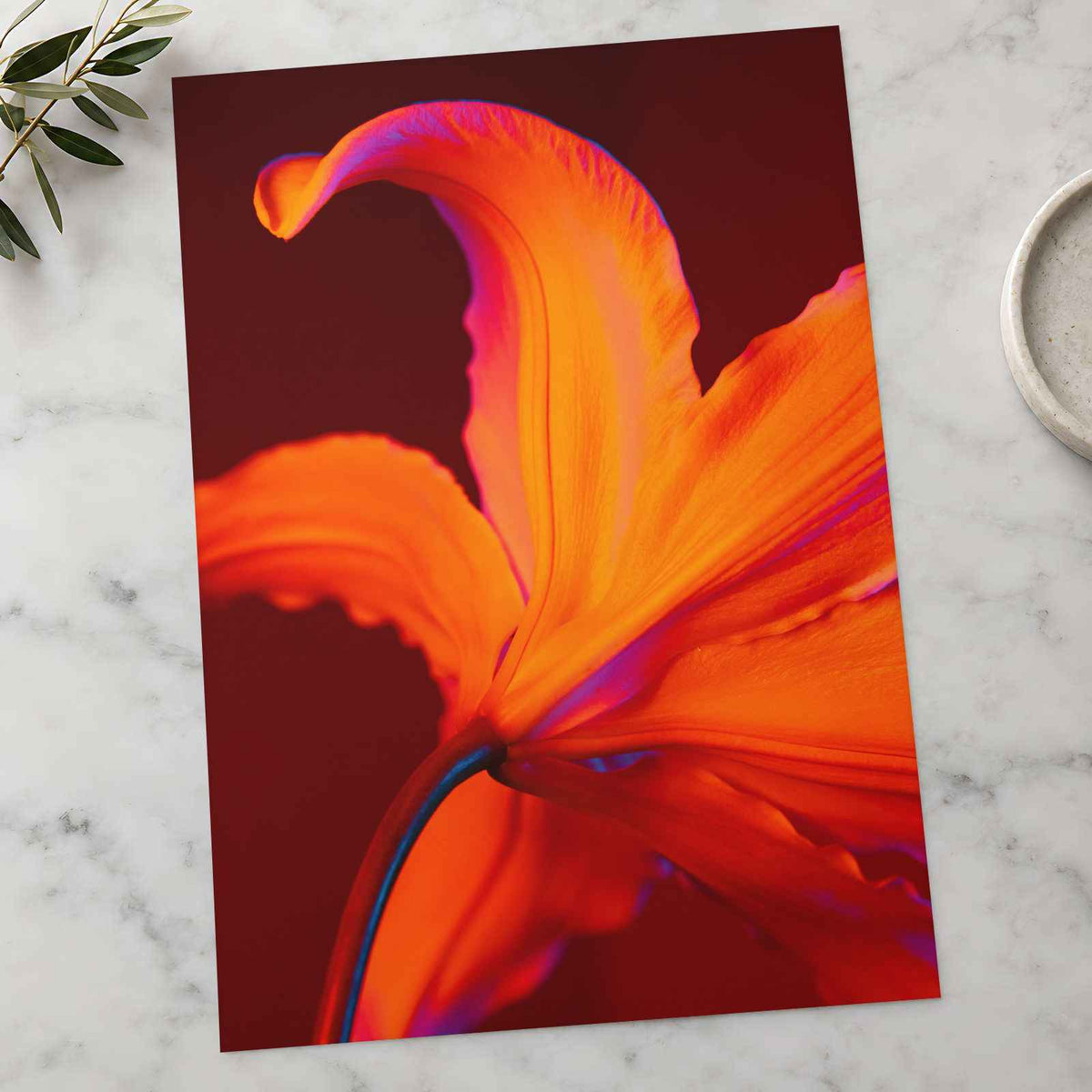 Close Up of Bright Orange Flower Photography Print (7 Sizes) - Ready to Frame