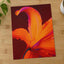 Close Up of Bright Orange Flower Photography Print (7 Sizes) - Ready to Frame