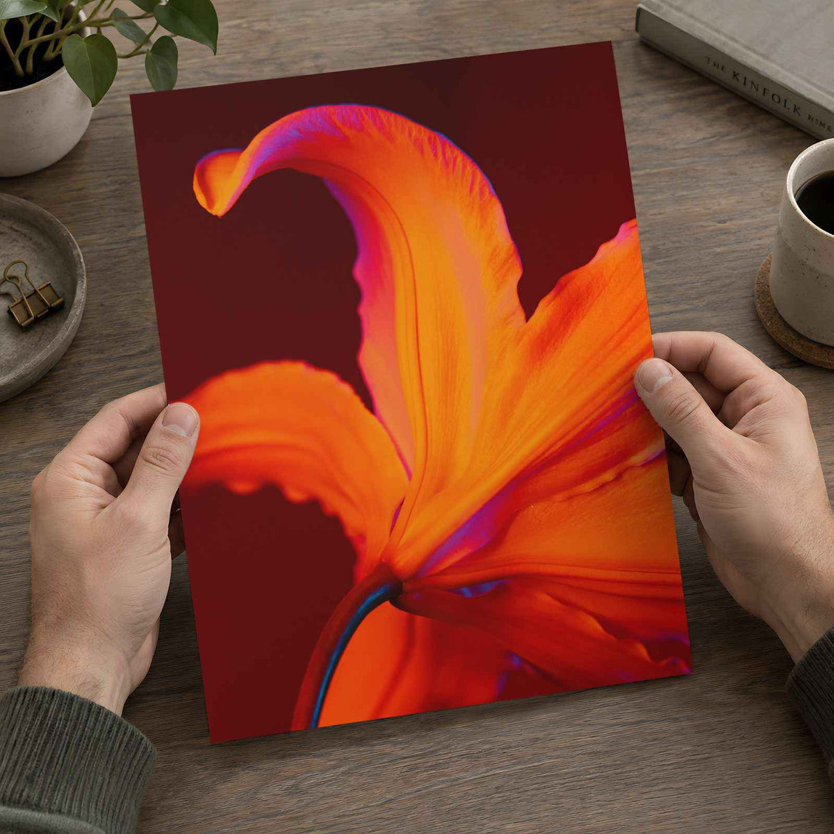 Close Up of Bright Orange Flower Photography Print (7 Sizes) - Ready to Frame
