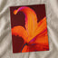 Close Up of Bright Orange Flower by Thais Varela Photo Print Wall Decor