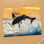 Jumping Great White Shark Photo Wall Print (5 Sizes) - Premium Quality