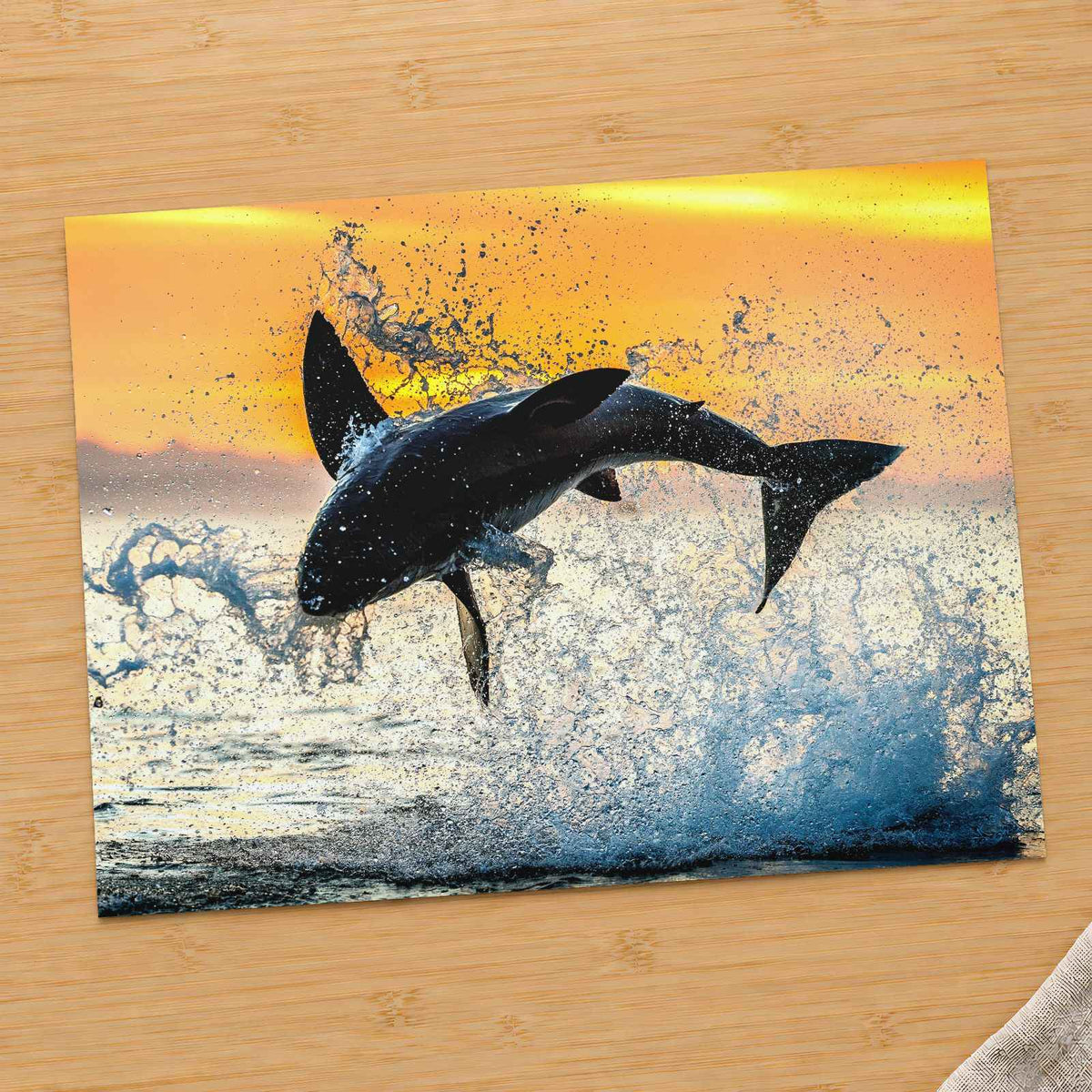 Jumping Great White Shark Photo Wall Print (5 Sizes) - Premium Quality
