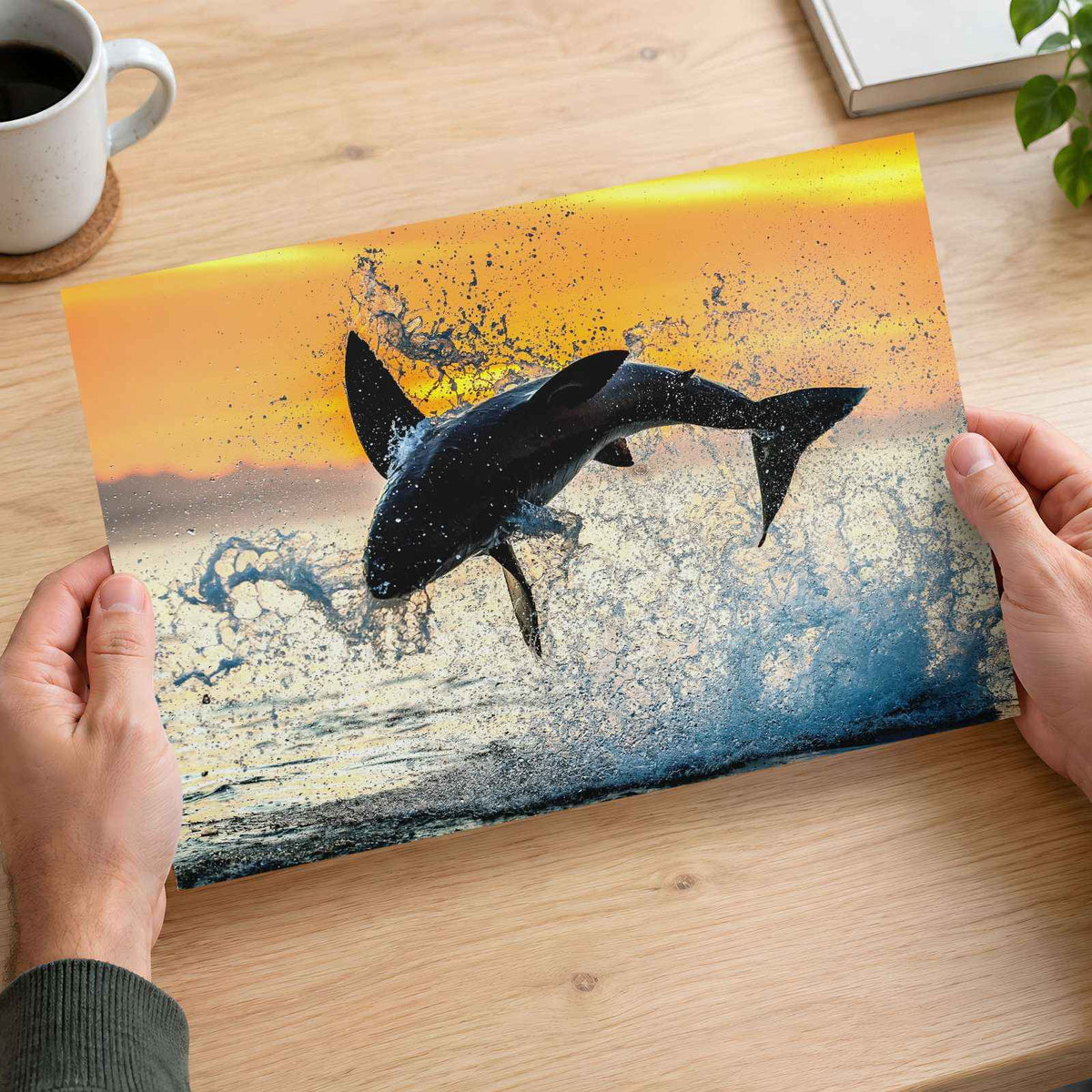 Jumping Great White Shark Photo Wall Print (5 Sizes) - Premium Quality