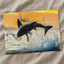 Jumping Great White Shark Photo Print Wall Decor