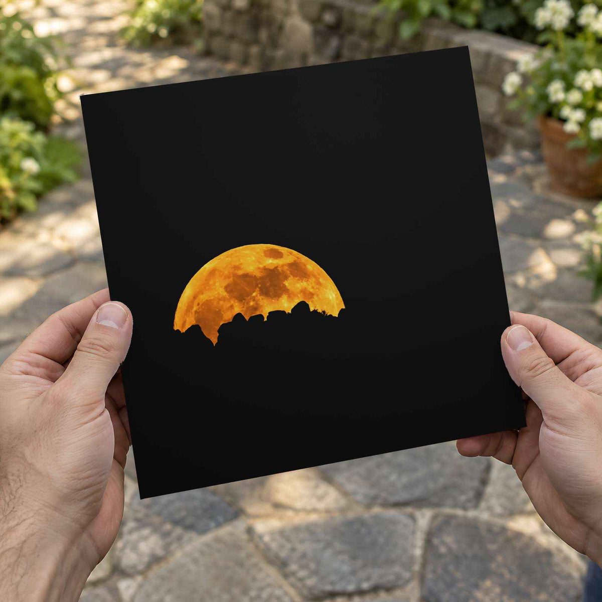 Full Moon Seen in Dark Sky Photo Wall Print (7 Sizes) - Ready to Frame