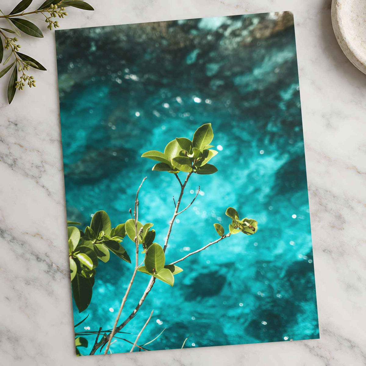 Peaceful Plant and Water Photography Print (7 Sizes) - Frameable