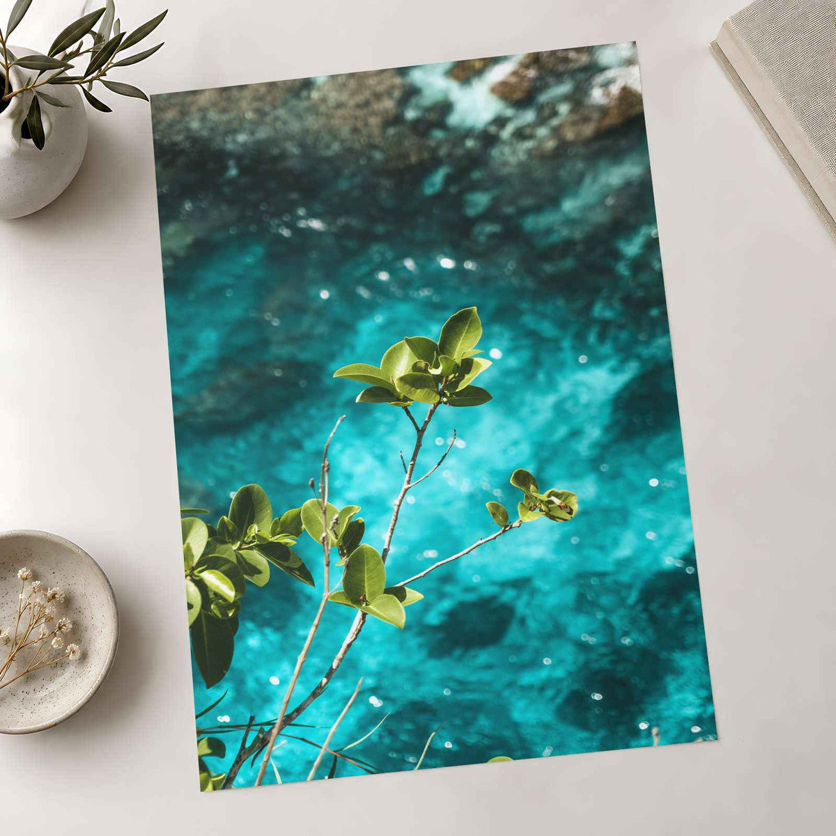 Peaceful Plant and Water Photography Print (7 Sizes) - Frameable