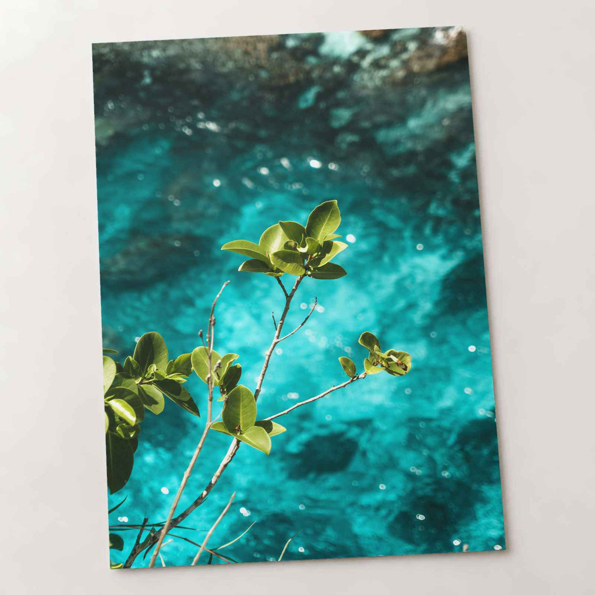 Peaceful Plant and Water Photography Print (7 Sizes) - Frameable