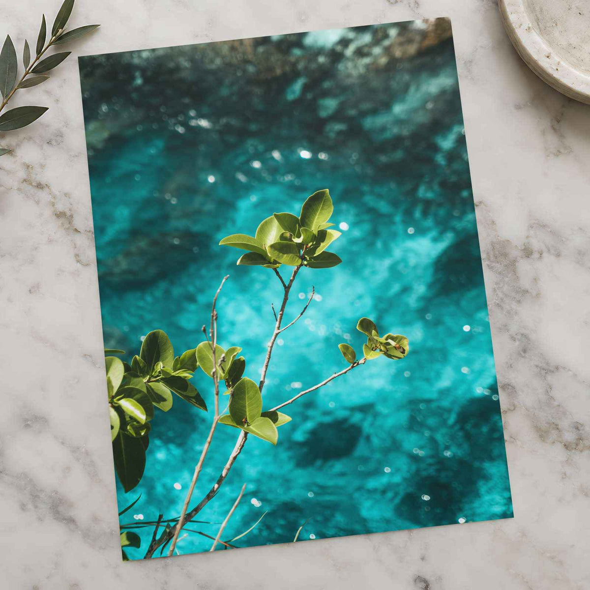 Peaceful Plant and Water Photography Print (7 Sizes) - Frameable