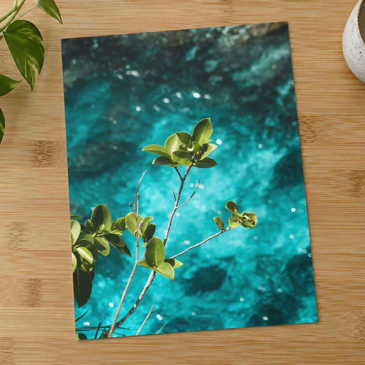 Peaceful Plant and Water by Polina Kuzovkova Photo Print Wall Decor