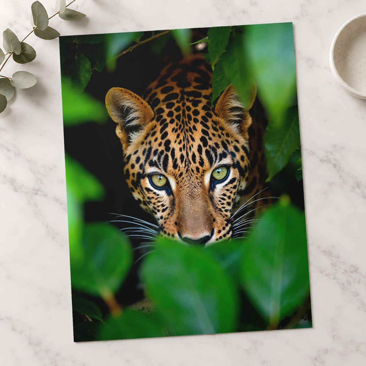 Close Up of Leopard's Face Mato Grosso Photography Print (7 Sizes)