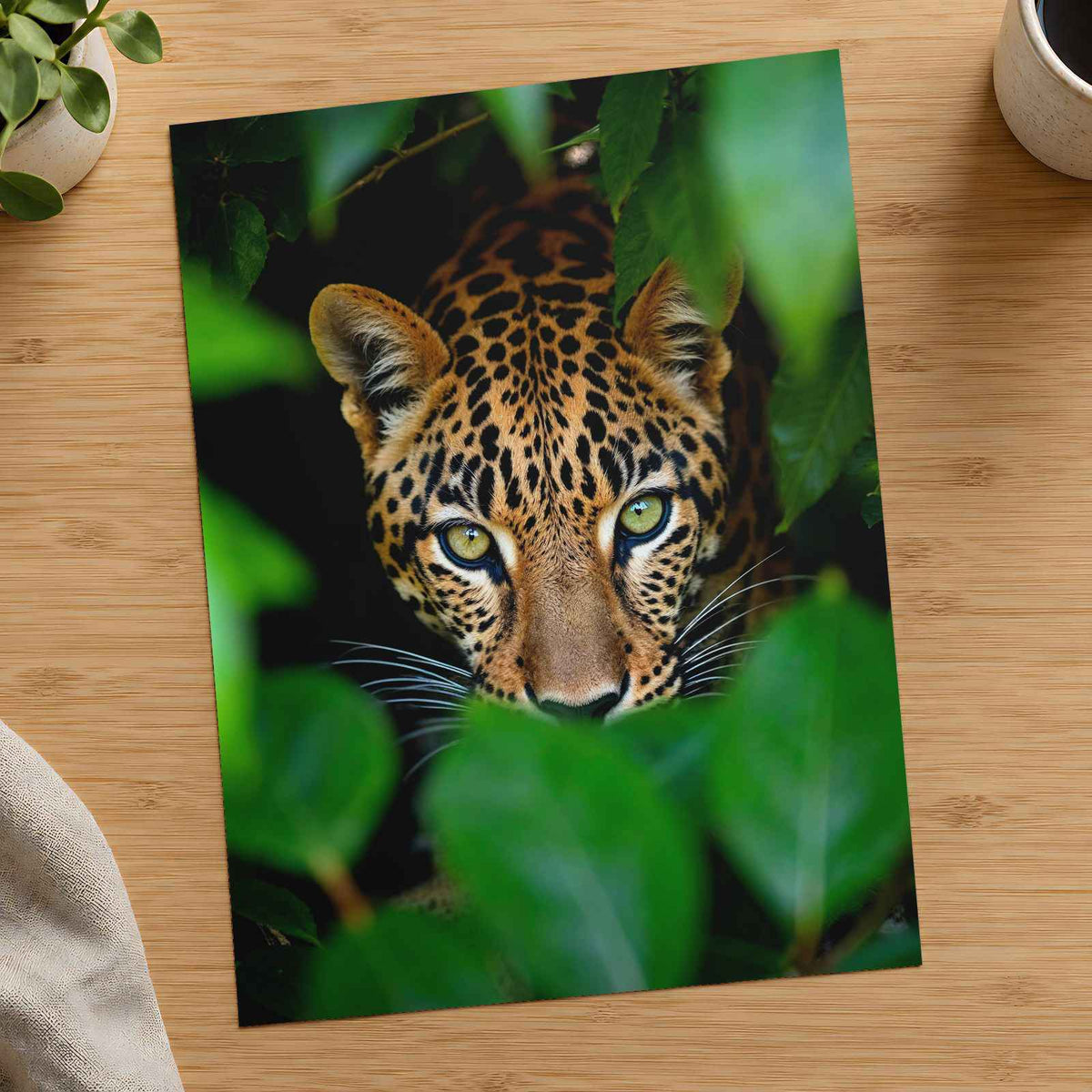 Close Up of Leopard's Face Mato Grosso Photography Print (7 Sizes)