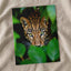 Close Up of Leopard's Face Mato Grosso Photography Print (7 Sizes)