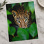 Close Up of Leopard's Face Mato Grosso Photography Print (7 Sizes)