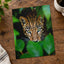 Close Up of Leopard's Face by Allec Gomes Photo Print Wall Decor