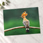 Bird with Orange Feathers Sitting on Branch Photo Wall Art (7 Sizes) - Frameable