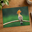 Bird with Orange Feathers Sitting on Branch Photo Wall Art (7 Sizes) - Frameable