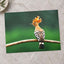 Bird with Orange Feathers Sitting on Branch Photo Wall Art (7 Sizes) - Frameable