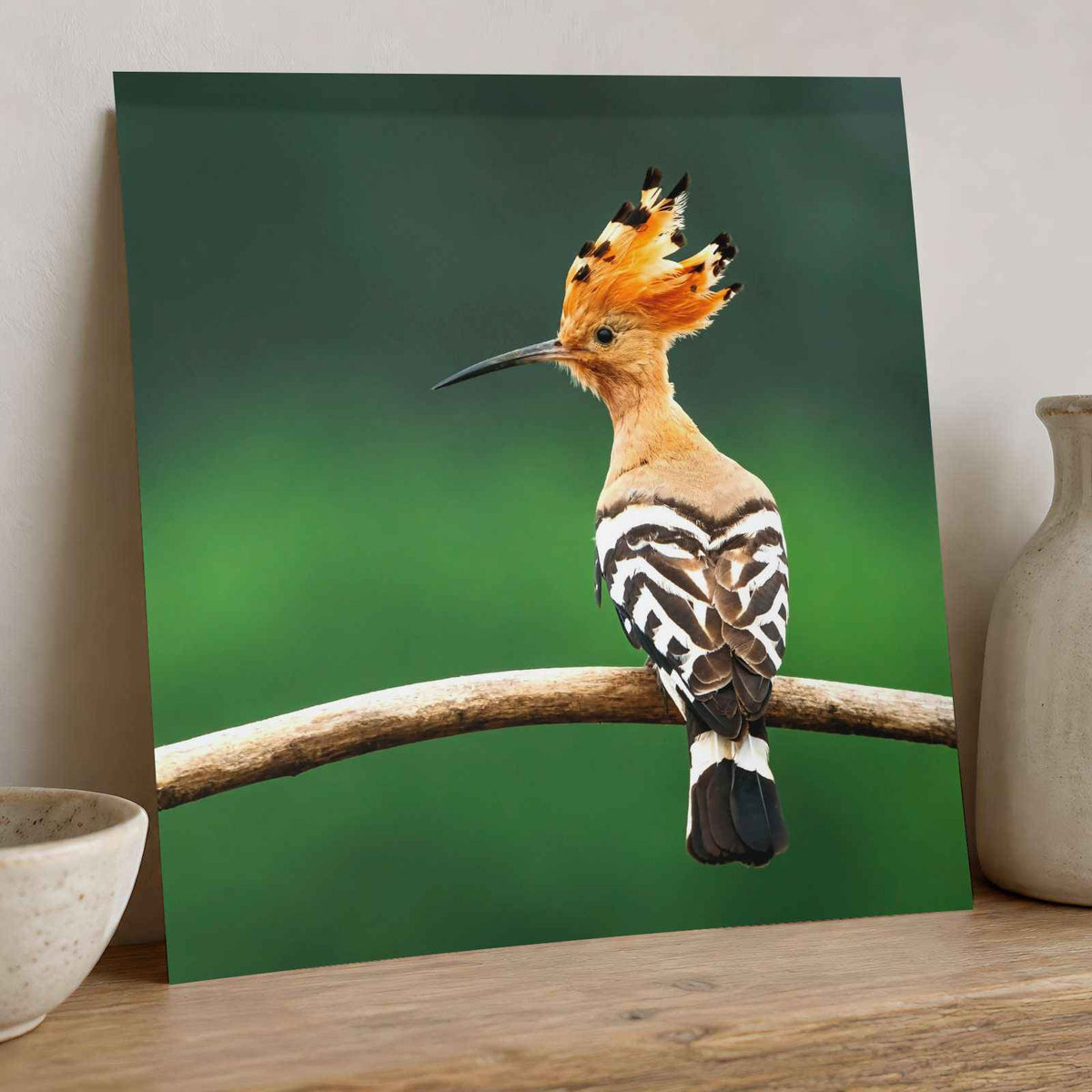 Bird with Orange Feathers Sitting on Branch Photo Wall Art (7 Sizes) - Frameable