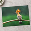 Bird with Orange Feathers Sitting on Branch Photo Wall Art (7 Sizes) - Frameable