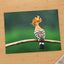 Bird with Orange Feathers Sitting on Branch by Daniel Mirlea Photo Print Wall Decor